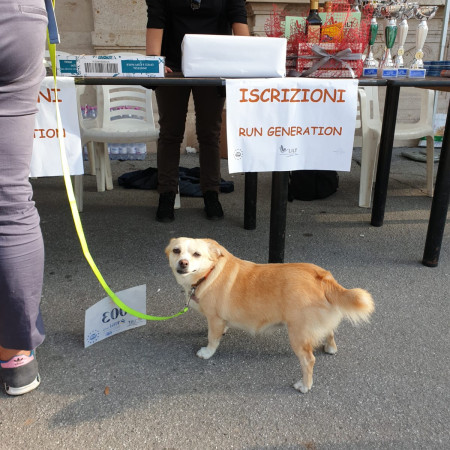 Festival della salute